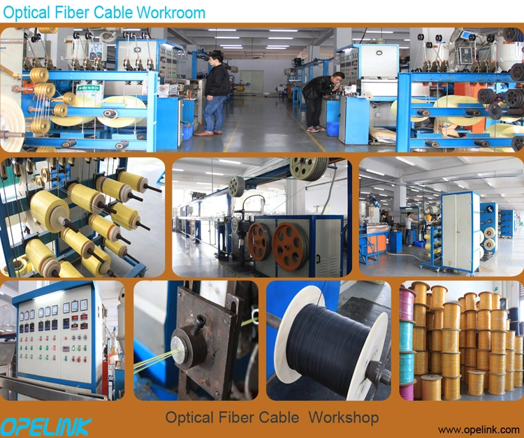Factory Supply Outdoor Fiber Cable Direct Burial Fiber Optic Cable GYXTW for Direct Buried Method